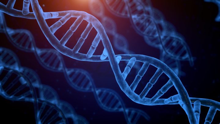 One Gene May Be Quietly Impacting Your Ability To Lose Weight in Adulthood