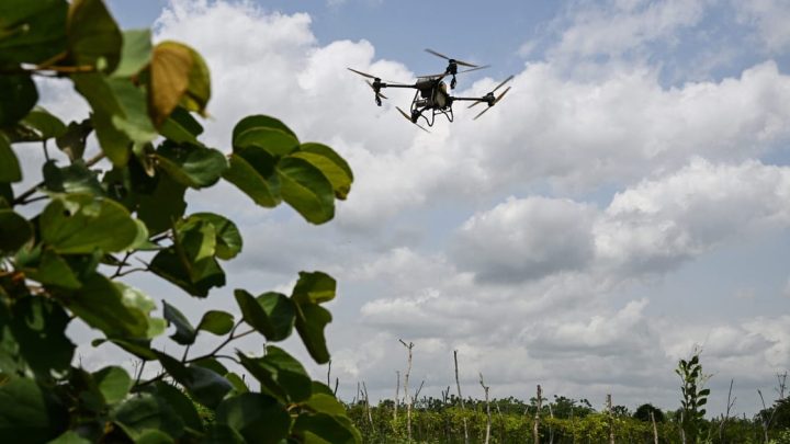 Europe is giving drones a new mission: Killing bugs