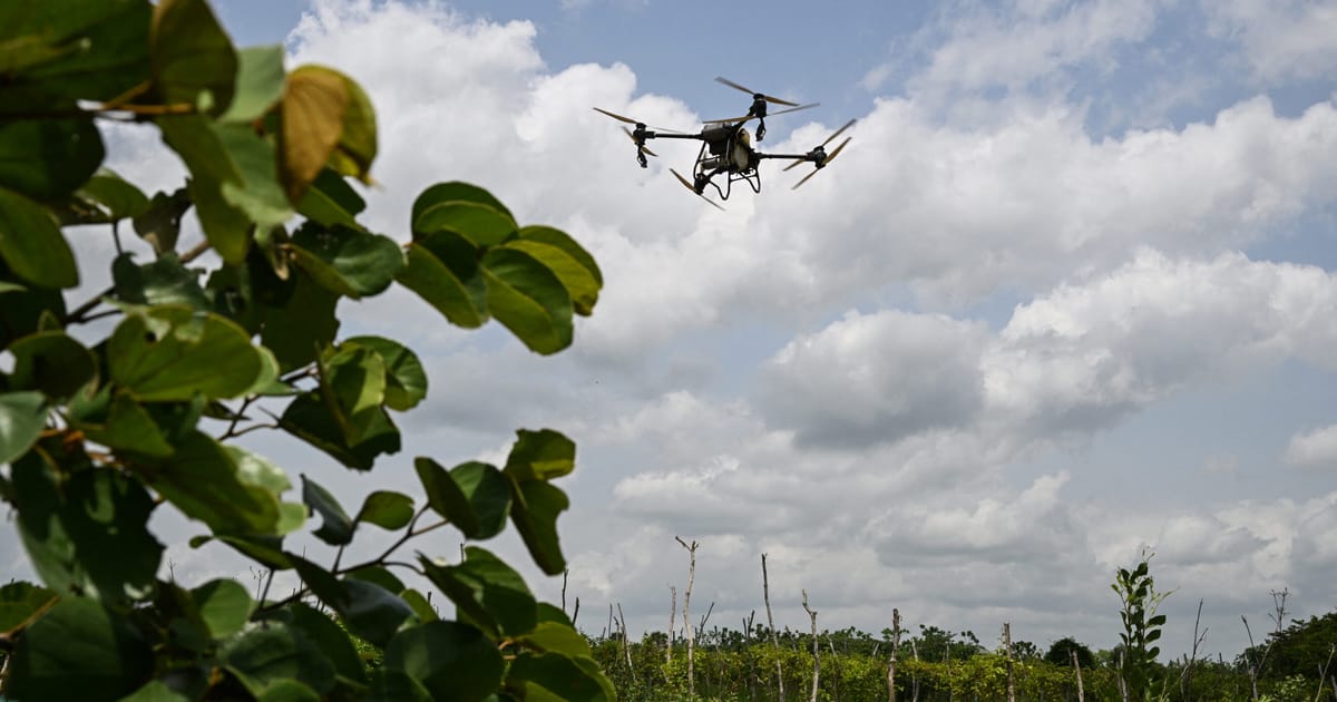 Europe is giving drones a new mission: Killing bugs