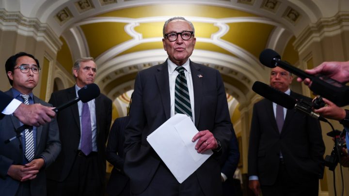 Dems Should Push Own 'Save ACT,' Be Pro- AI for Affordability Win | Opinion