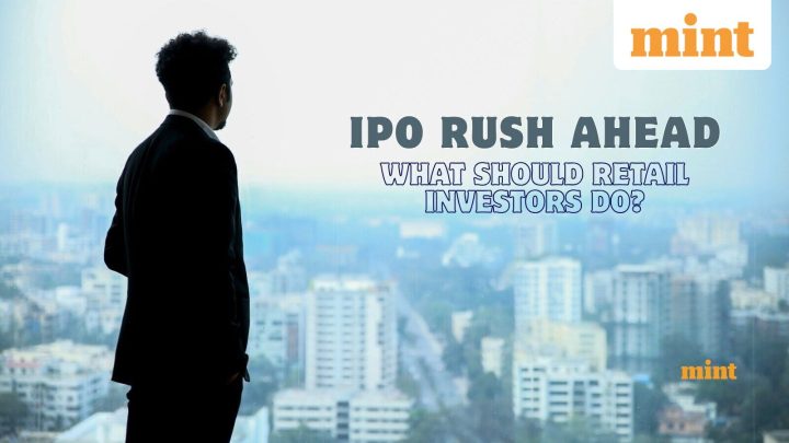 IPO rush ahead: What should retail investors do? DSP's Jay Kothari explains