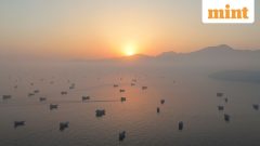 Iran losing control of Strait of Hormuz as 80% of ships shift to Oman route