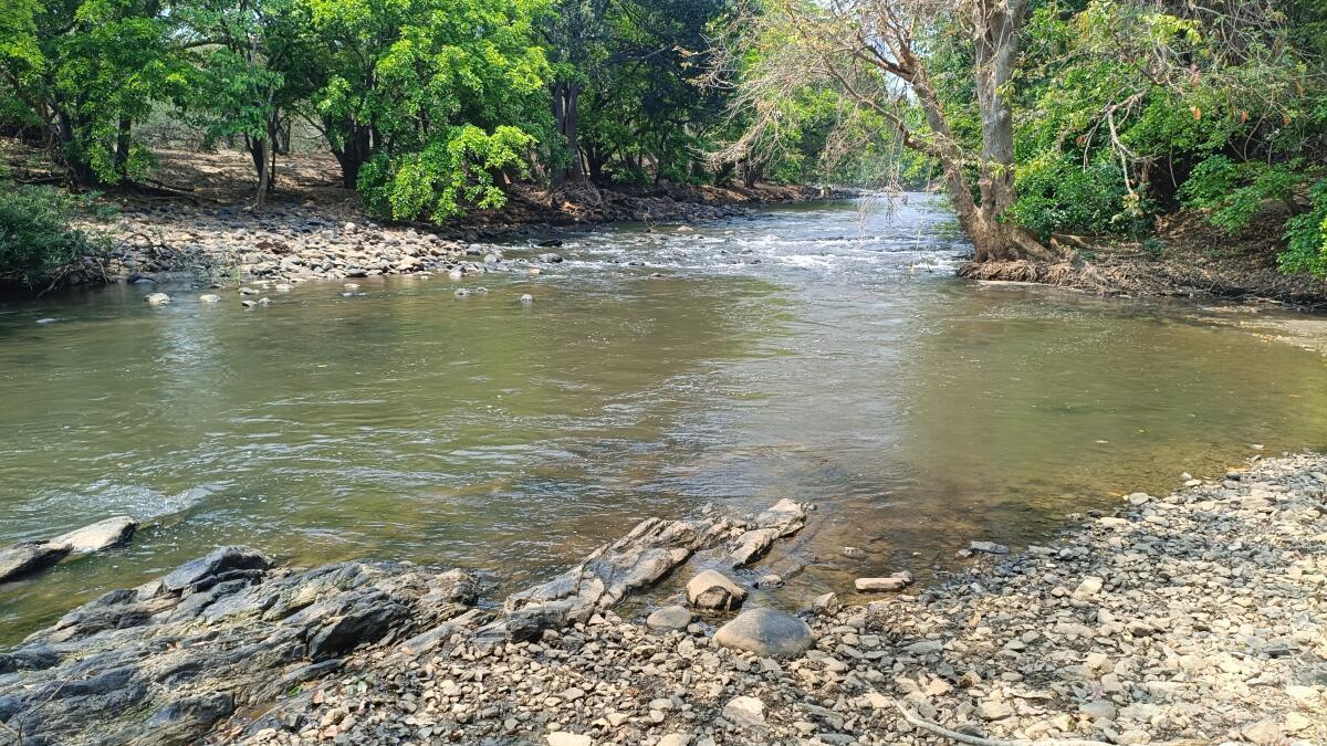 Thalavadi residents seek Moyar lift scheme to address water scarcity