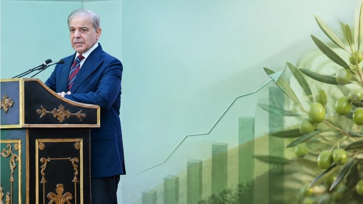 PM Launches National Olive Value Chain Policy To Cut Edible Oil Imports