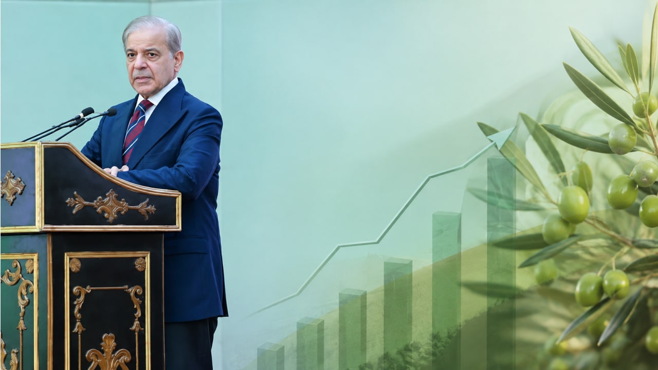 PM Launches National Olive Value Chain Policy To Cut Edible Oil Imports
