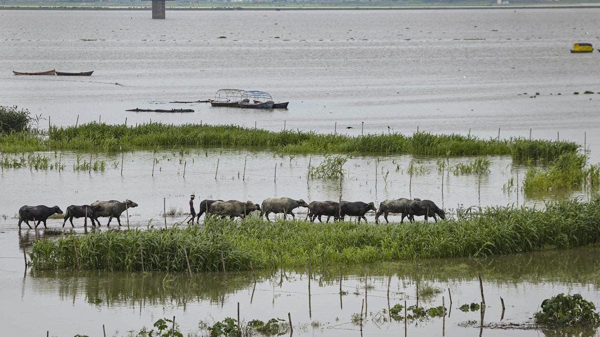 NGT issues notice to Centre against amendment on Ganga floodplains