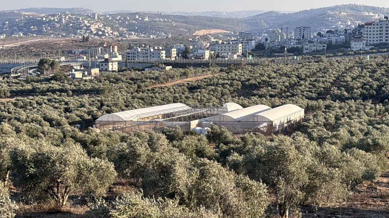 Palestinian farmers rebuild what Israeli settlers destroy in West Bank
