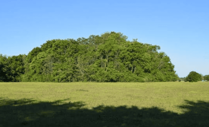 Where 2,000 years of Mississippi history still rises from the ground