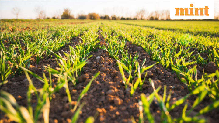 When does agri land sale qualify for tax exemption?