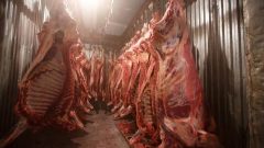 1,000kg Rotten Meat Destroyed at Illegal Slaughterhouse in Lahore
