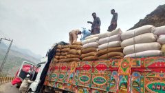 Govt to Export 2.5 Lac Ton Sugar Ahead of Crushing Season
