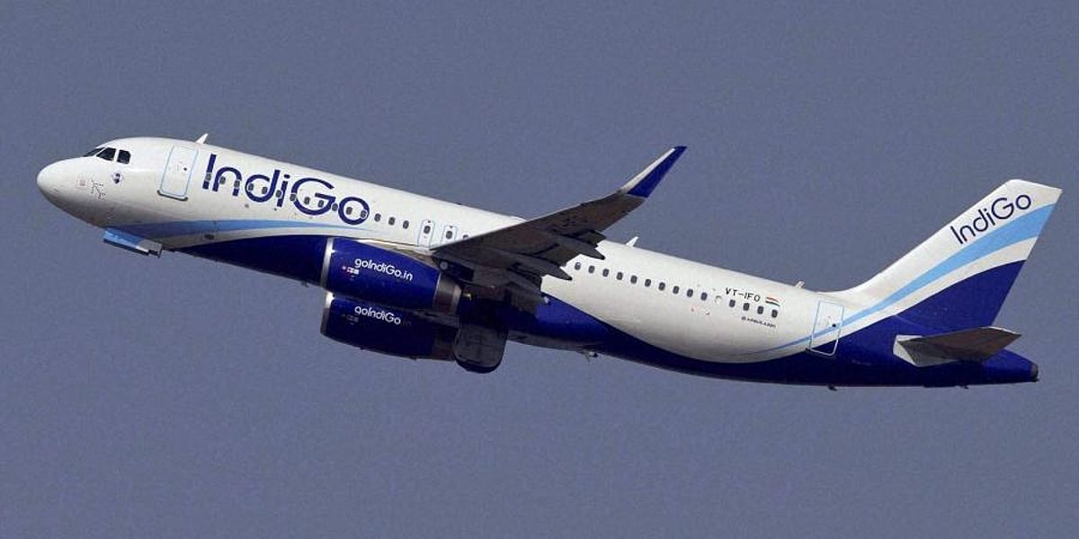 IndiGo booking system briefly faces technical glitch