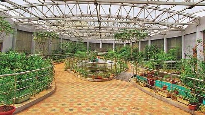 Renovated Butterfly Park at Vandalur Zoo reopens