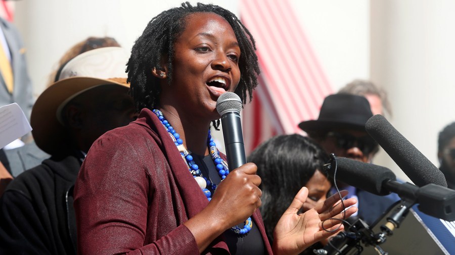 Angie Nixon on division between progressive, establishment Democrats: ‘It’s not about labels’