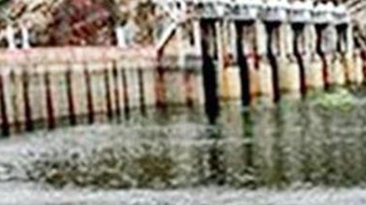 Water level in Papanasam Dam stands at 80.65 feet