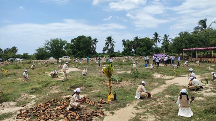 Plantation drive held at Bahour