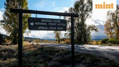 Trump administration moves ahead to rescind rule that protects national forests