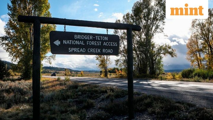 Trump administration moves ahead to rescind rule that protects national forests