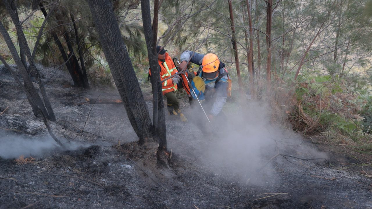 Indonesia bolsters troop numbers to combat Borneo wildfires