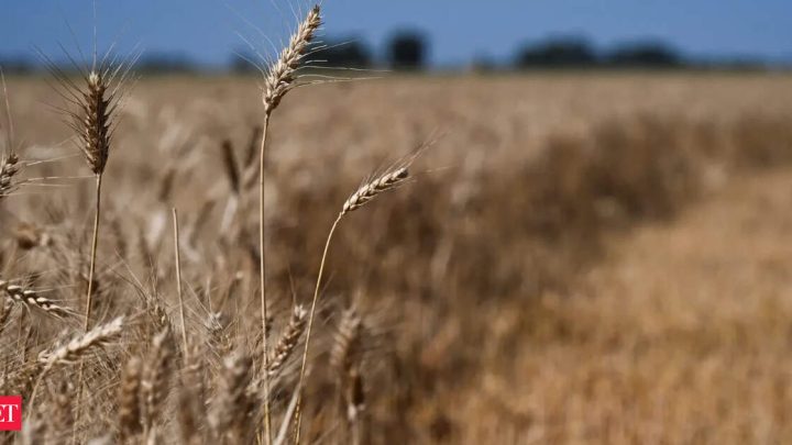 Russia wants to change how BRICS trades grains