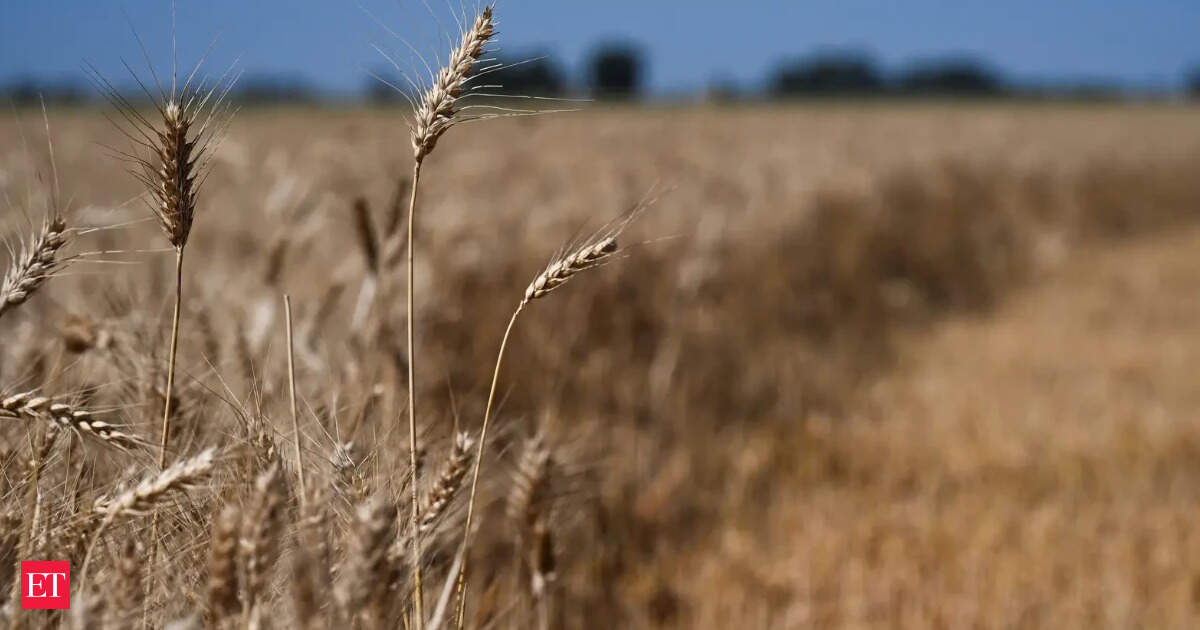 Russia wants to change how BRICS trades grains