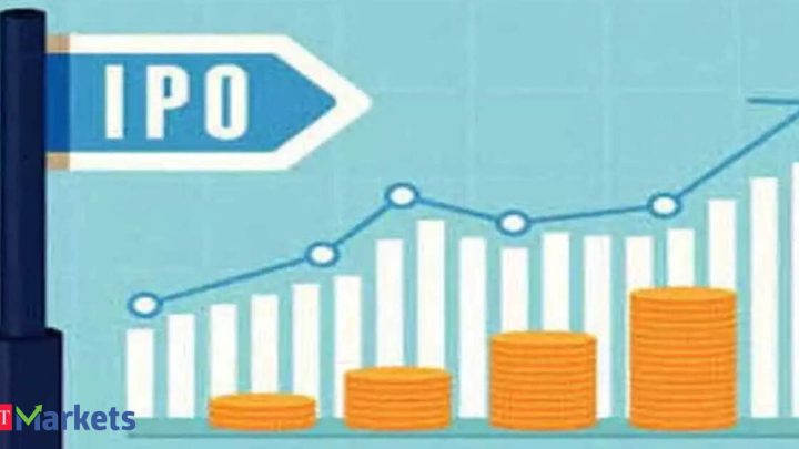 IPO gains fuel FOMO as grey market heats up