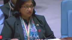 India calls for urgent UNSC reforms