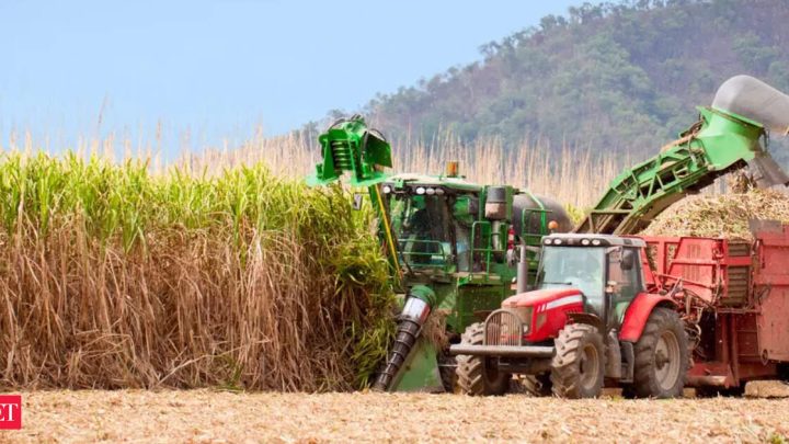 India's 1st big biopolymer plant set for Oct launch