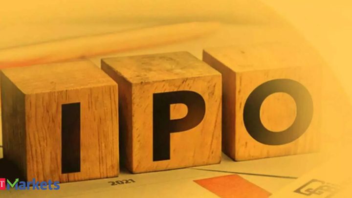 Can Skyways IPO deliver growth for investors?