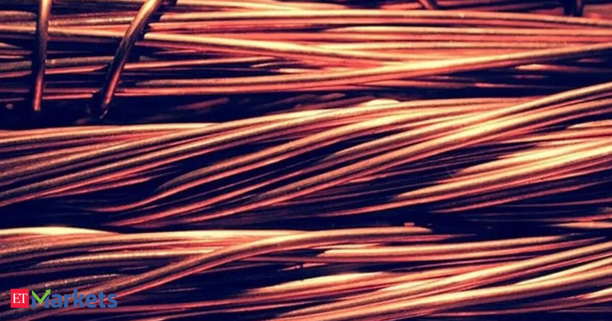 Hind Copper OFS may not attract retail investors