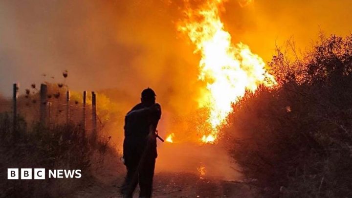 Algeria president seeks death penalty for arsonists after deadly forest fires