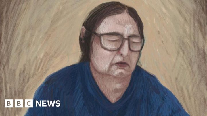 Mushroom killer must stay in jail forever for 'truly dreadful' crime, appeal court toldProsecutors say Erin Patterson's sentence was "manifestly inadequate" as it allows for the possibility of parole.1 hr agoAustralia