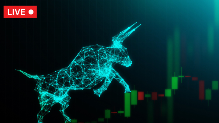 Sensex rises 100 pts, Nifty above 24,250