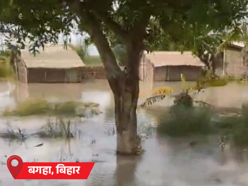 LIVEMP-यूपी की 7 नदियां खतरे के निशान से ऊपर: हिमाचल में अब तक 219 मौतें, राजस्थान के श्रीगंगानगर में तापमान 40° पार1:16Play video