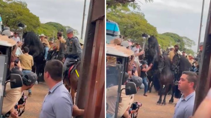 Susto de Andressa Suita com cavalo viraliza, e influenciadora que gravou cena reage: 'Ela dominou'