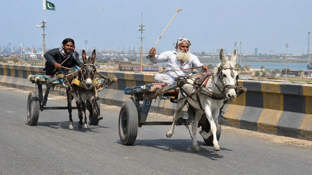 Karachi Hosts Independence Day Donkey-Cart Race