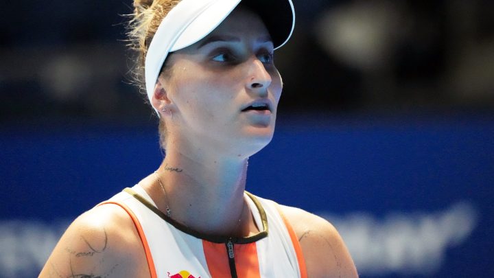 Ex-Wimbledon champion Vondrousova appeals to CAS over four-year doping ban