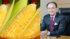 Finance Minister Backs Plan to Finally Bring Local GM Corn to Market