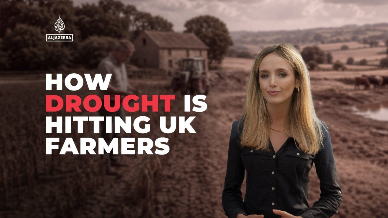 How is drought hitting UK farming?