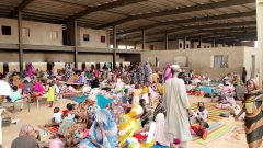 Video: Thousands of families flee fighting in Sudan’s North Kordofan State