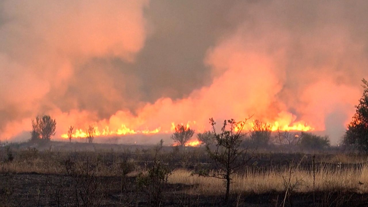 Serbia requests international assistance to battle wildfires