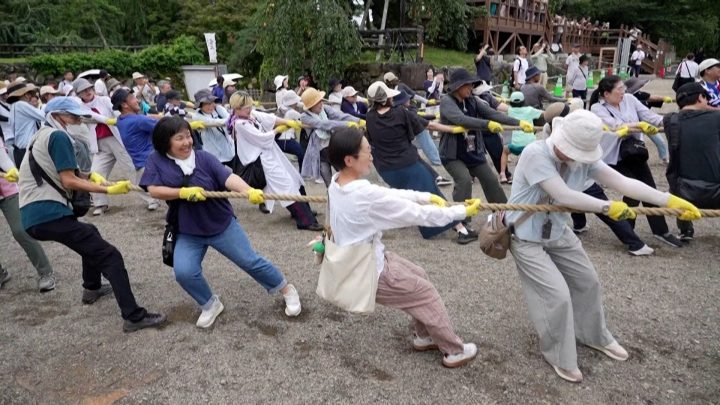 Thousands in Japan are pulling this historic castle back into place