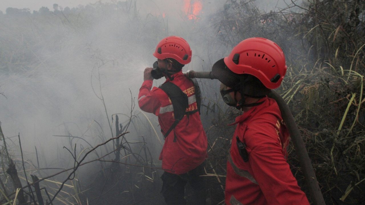 Wildfires on Indonesia’s Borneo island turn the air toxic