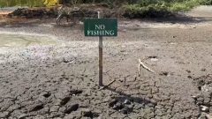 Record drought grips Europe as rivers and crops dry up