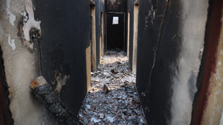 Algeria wildfire death toll expected to rise as survivors say nothing left
