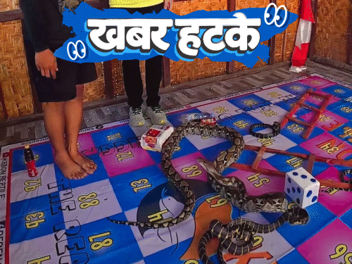 खबर हटके- असली अजगर से सांप–सीढ़ी खेल रहे लोग: राजस्थान के टेलर को ₹974 करोड़ का इनकम टैक्स नोटिस; मधुमक्खियों के लिए बना होटल2:01Play video