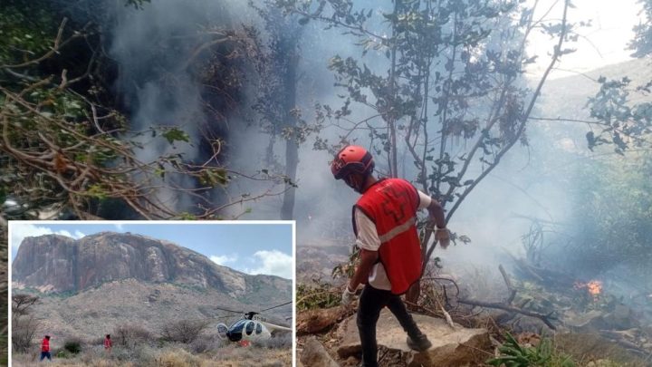 Four Americans killed in fiery Kenya helicopter crash during trip with luxury tour agency