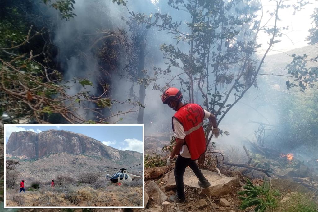 Four Americans killed in fiery Kenya helicopter crash during trip with luxury tour agency