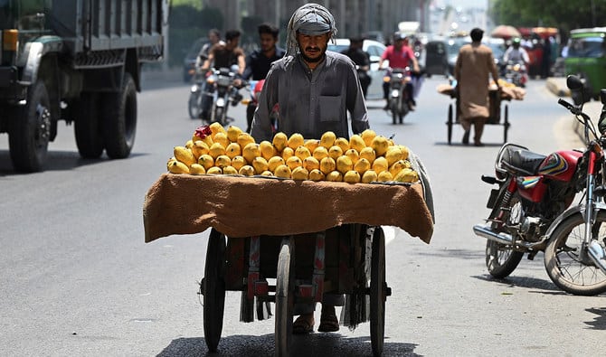 Fruits and Vegetables Become Luxury Items in Punjab