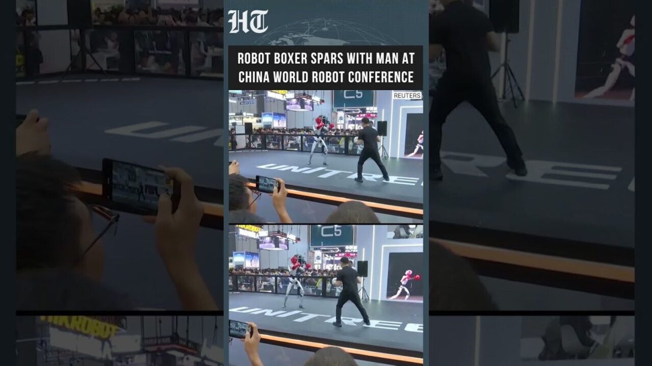 China's humanoid industry chasing ‘ChatGPT moment’ by 2028, says Unitree CEO